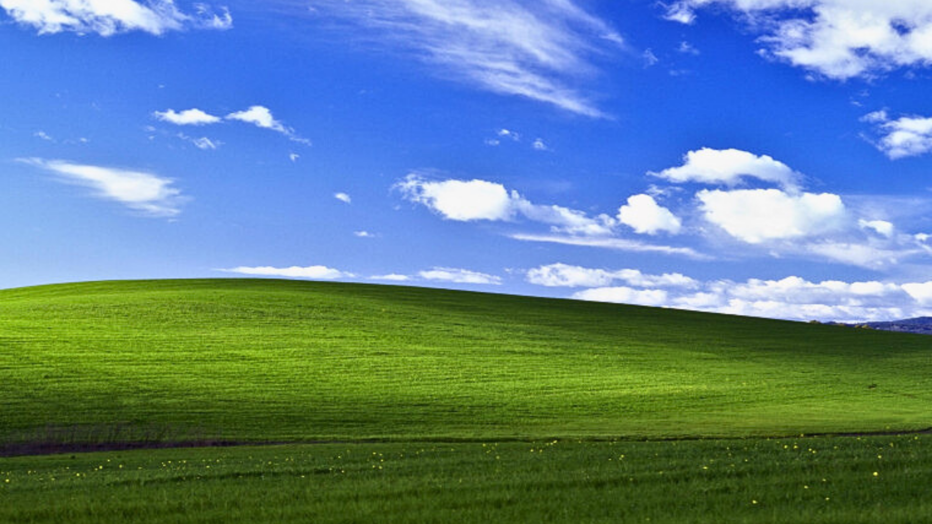 This image is known as, "Bliss" and was the default wallpaper for Windows XP. 